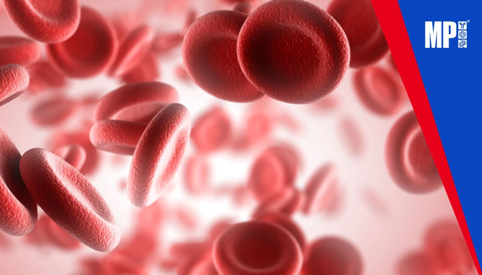 新品上市 | 血小板裂解液，欢迎订购！