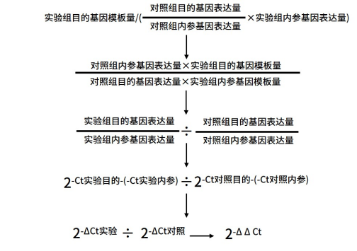 qPCR数据处理秘籍：干货满满，看完还想再来一篇！