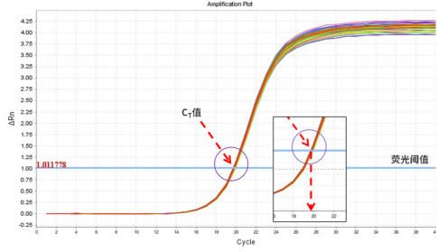 qPCR数据处理秘籍：干货满满，看完还想再来一篇！