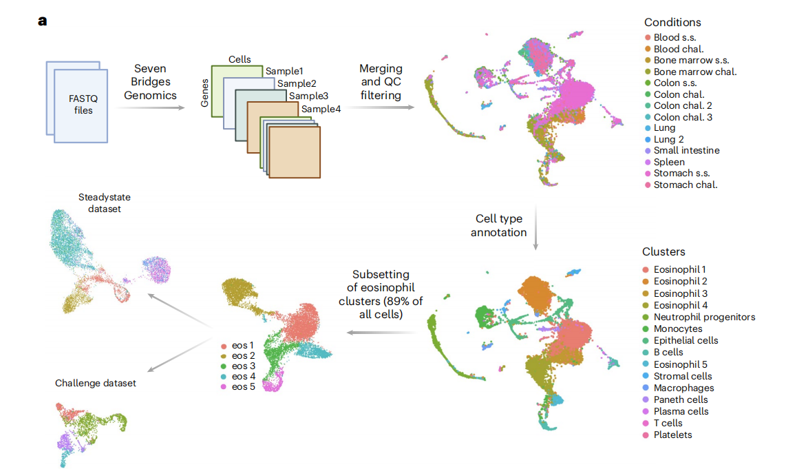 【Nature Protocols文献分享】嗜酸性粒细胞单细胞测序研究解决方案