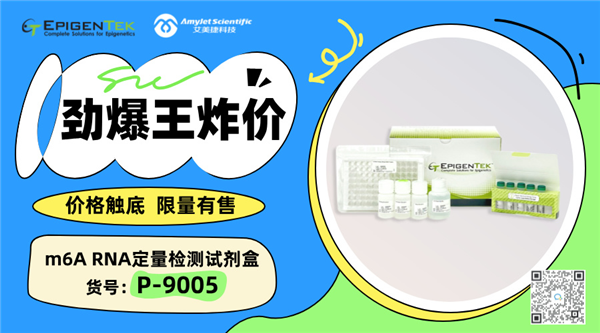 Epigentek m6A RNA定量检测试剂盒(#P-9005)劲爆王炸价 Epigentek m6A RNA定量检测试剂盒(#P-9005)劲爆王炸价