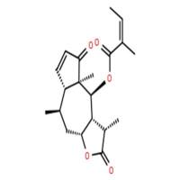 短叶老鹤草素 A
