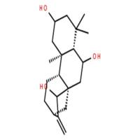 16-贝壳杉烯-2,6,15-三醇