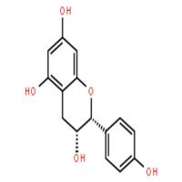 (-)-表阿夫儿茶精