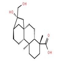 等效-16beta,17-二羟基-19-异贝壳杉烷酸