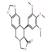 去氧鬼臼毒素，去氧鬼臼脂素