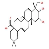 2,3,23-三羟基-12-齐墩果烯-28-酸