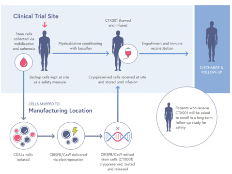 干货 | 基因编辑探秘系列之在细胞与基因治疗领域的应用