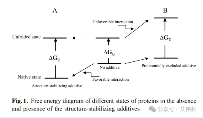 深度分析氨基酸在生物制剂中的应用机制