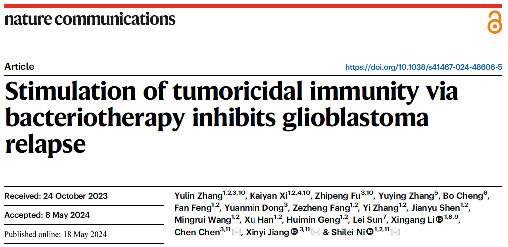文献解读| Nat Commun: 泓迅生物CpG免疫佐剂助力研究细菌疗法激活抗肿瘤免疫以抑制GBM复发