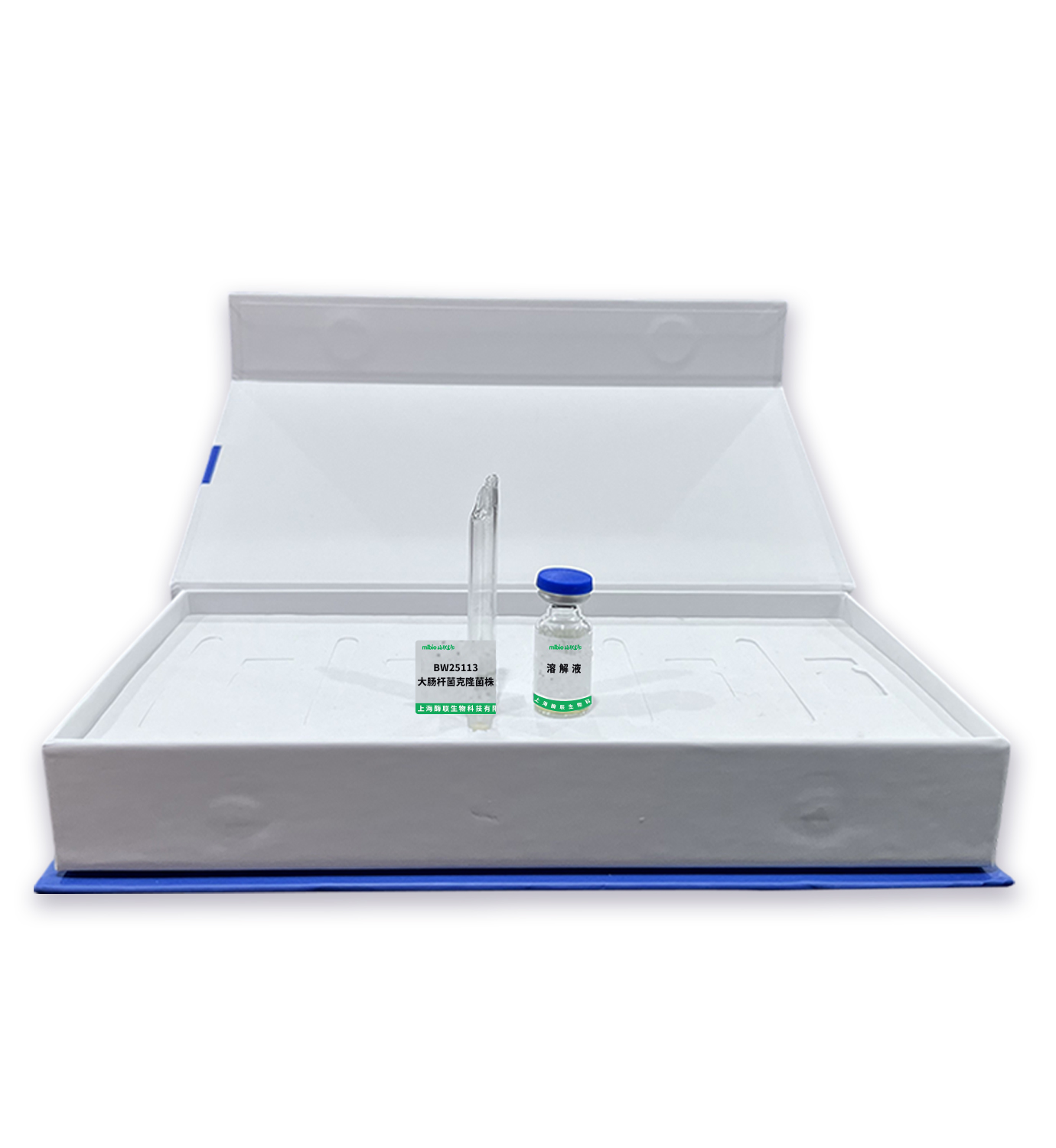 BW25113大肠杆菌克隆菌株