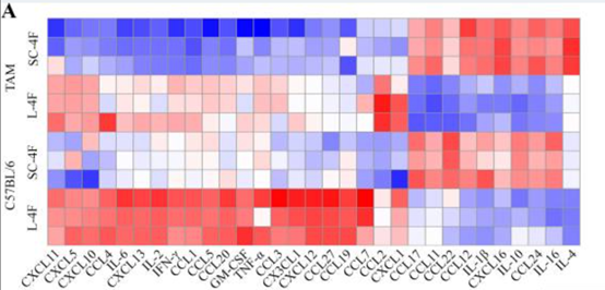 LabEx Luminex平台助力探索预测ICIs 对鼻咽癌疗效的可靠生物标志物