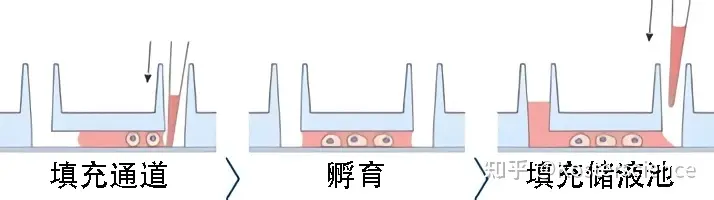 新闻图片2