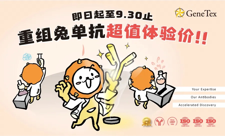 重组兔单抗超值体验价!!