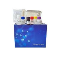 牛8-异前列腺素ELISA试剂盒有效期