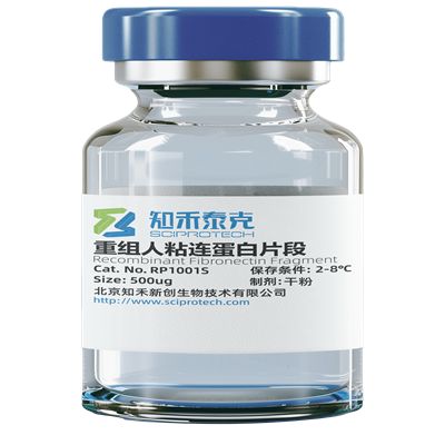  重组人粘连蛋白片段（Recombinant Human Fibronectin Fragment; 纤连蛋白）