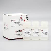 PC104 RIPA 裂解液（强中弱套装）