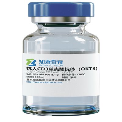 重组抗人CD3单克隆抗体(OKT3;anti- human CD3 antibody)