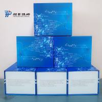 HP030201 HRP*Monoclonal Mouse Anti- Human IgM HRP-小鼠抗人IgM