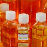 PLTGOLD500人血小板裂解物（BI/Sartorius/Mill Creek）