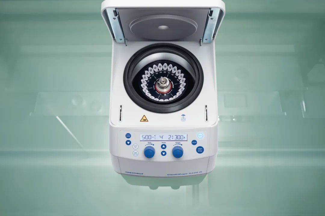 组会变成狼人杀！大师姐的 qPCR 出错，罪魁祸首是谁？