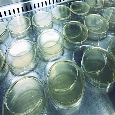 酪蛋白胨大豆卵磷脂吐温20培养基