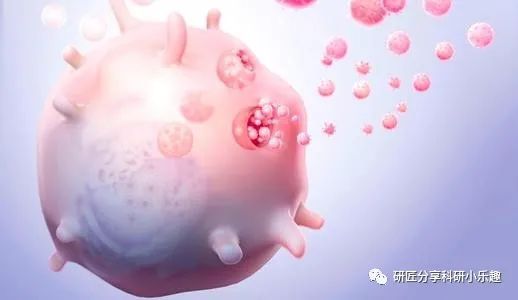 外泌体为什么需要做鉴定？