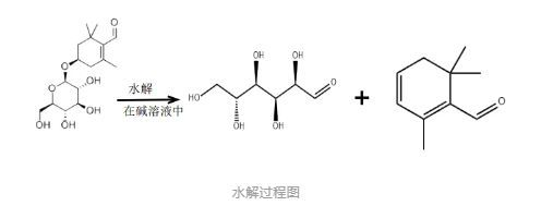 糖类的分类及功能