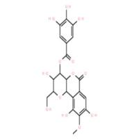 4-O-没食子酰岩白菜素