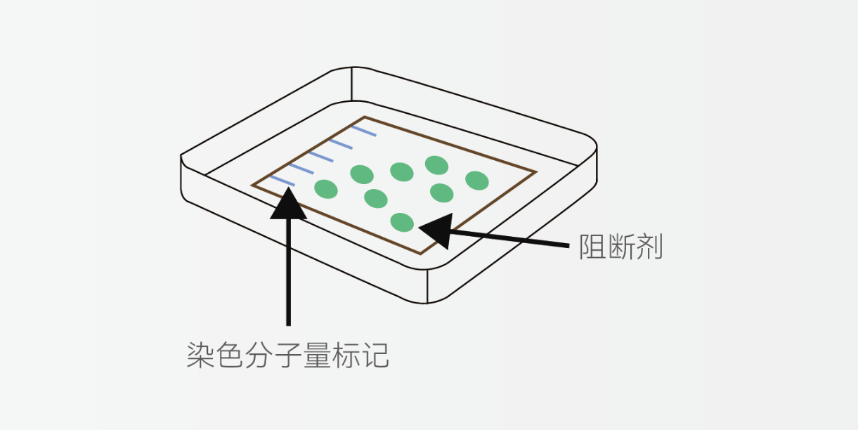WB实验手册免费下载！揭开WB的神秘面纱， 一步步掌握实验技巧！