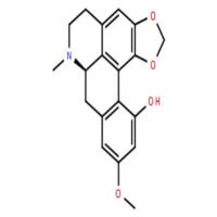 N-甲基瓜馥木碱甲