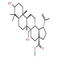 3,27-二羟基-20(29)-流明-28-酸甲酯