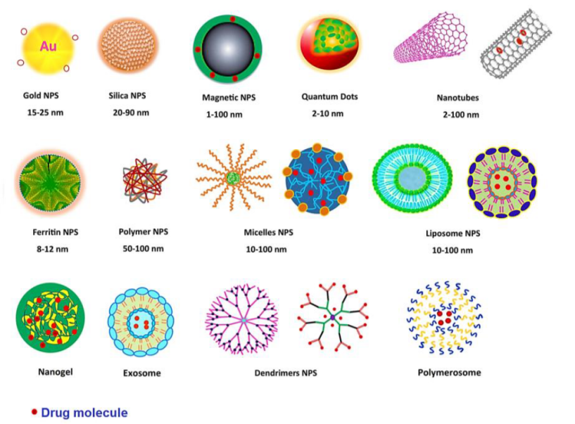 体内药物递送的那些事：外泌体、纳米颗粒（LNPs、AuNPs、MSNs）