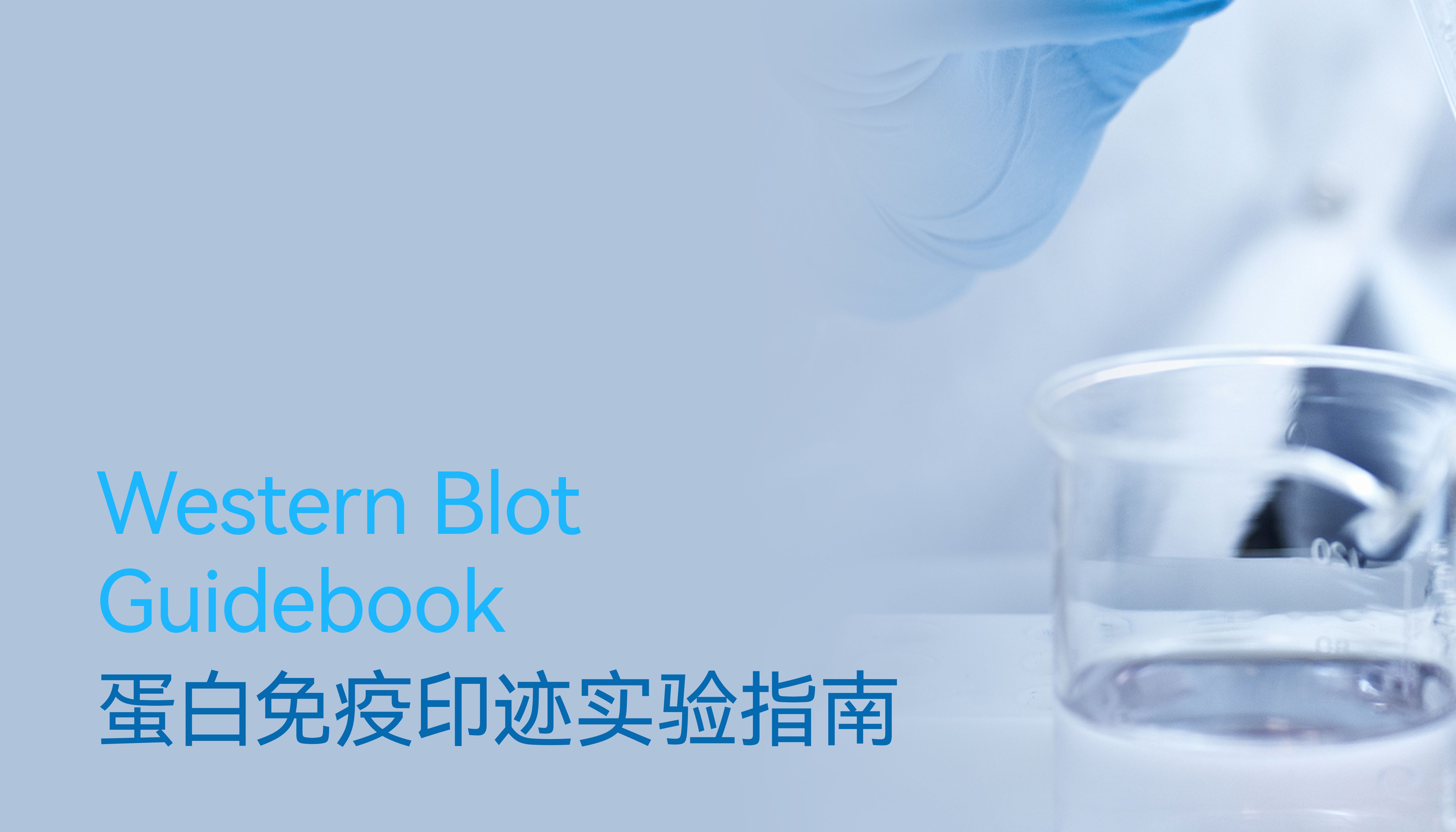 WB实验手册免费下载！揭开WB的神秘面纱， 一步步掌握实验技巧！