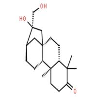 Ent-3-氧代贝壳烯烷-16,17-二醇