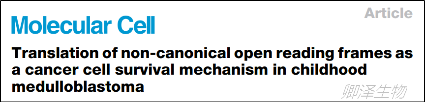 Mol Cell. | Ribo-seq技术助力挖掘成神经管细胞瘤中的非典型ORF