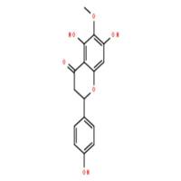 6-甲氧基柚皮素