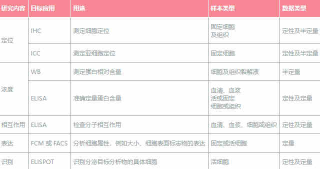 磷酸化帕金森病蛋白2抗体