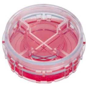 ibidi μ-35mm 四区块 高壁培养皿 80416