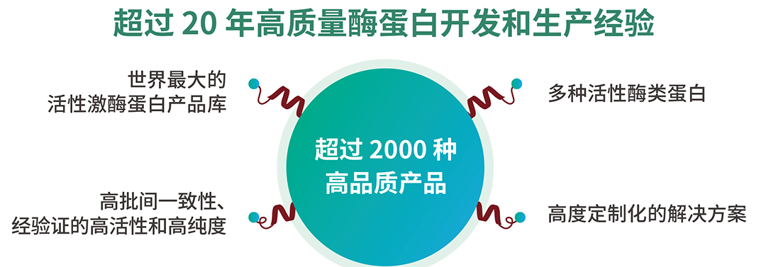 SignalChem Biotech：全球激酶蛋白重要供应商