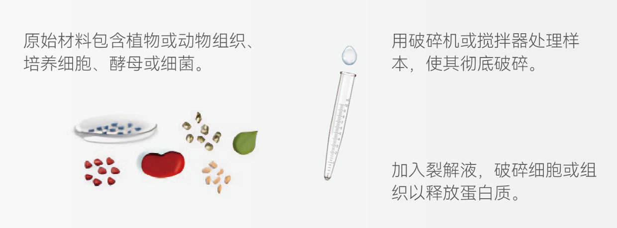 WB实验手册免费下载！揭开WB的神秘面纱， 一步步掌握实验技巧！