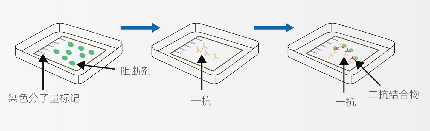 WB实验手册免费下载！揭开WB的神秘面纱， 一步步掌握实验技巧！