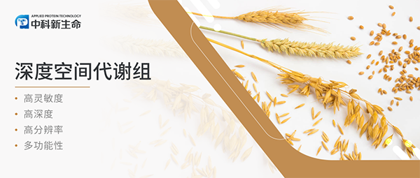 Plant Cell（IF=10）| 大麦增产新途径：揭秘穗状花序尖端退化调控机制