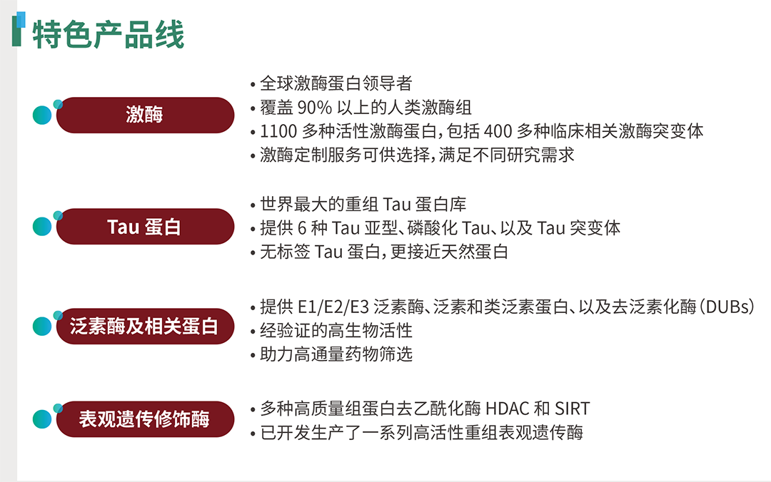 SignalChem Biotech：全球激酶蛋白重要供应商