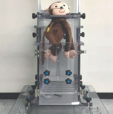 中国 Consent 猴椅