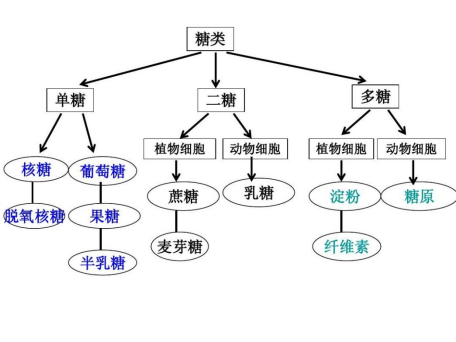 乳糖糖苷键图片