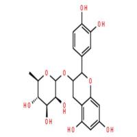 3-鼠李糖苷儿茶酚