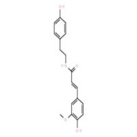 N-反式阿魏酰酪胺