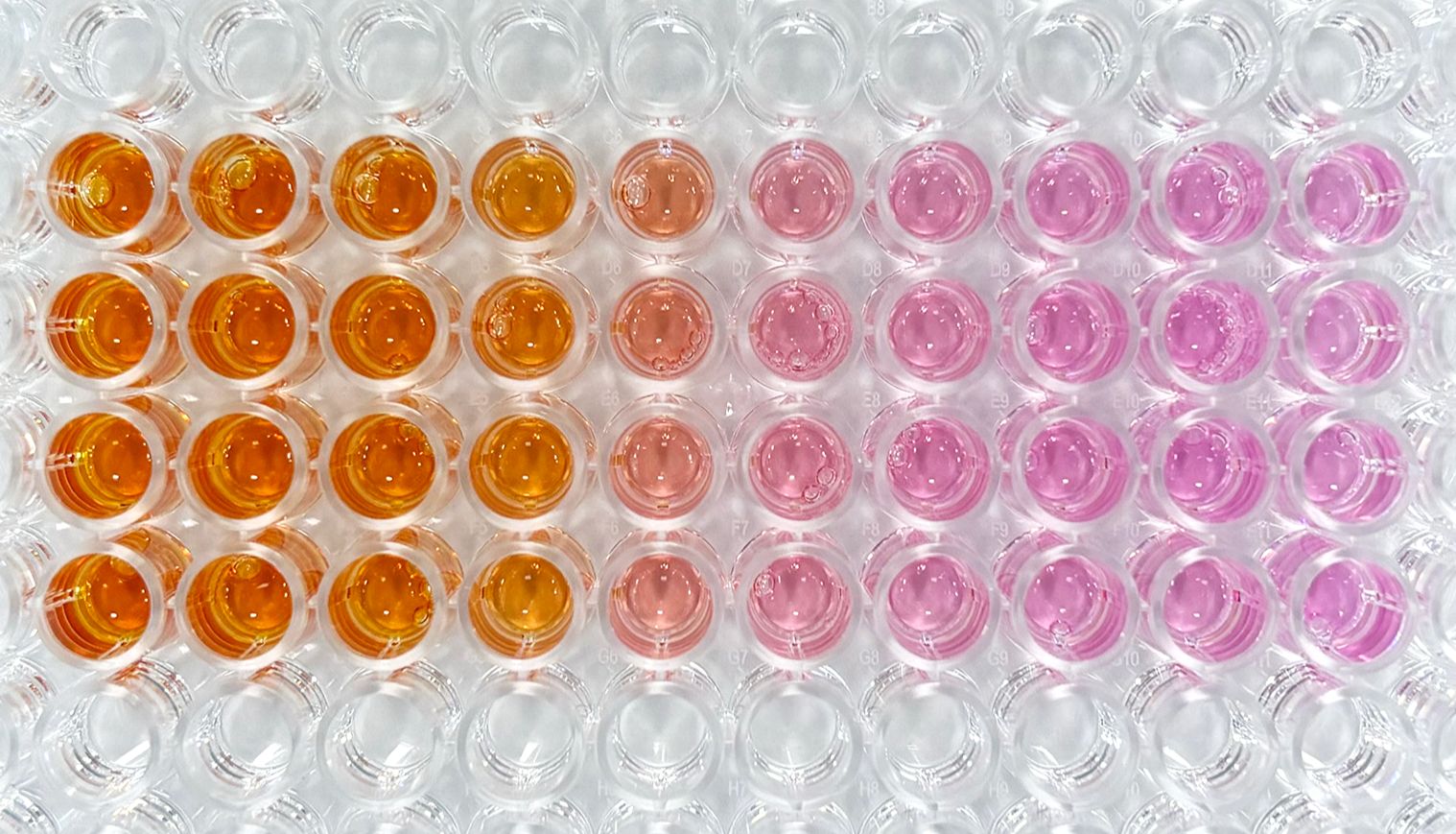 CCK-8检测试剂盒新品上市，免费试用，包邮到家！