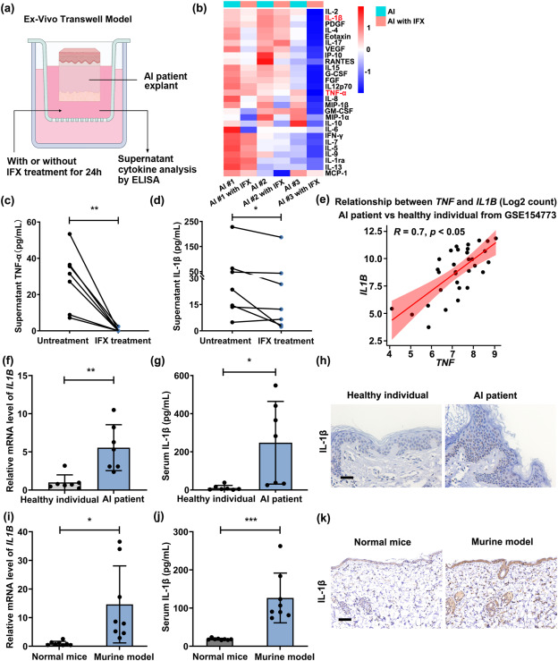 LabEx Luminex平台助力探索调查应用IFX治疗AI时TNF-α依赖的炎症通路的变化